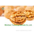 Walnut Kernels light amber halves(LAH) for Great Taste